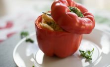 Brunch Esbjerg: En Guide til Eventyrrejsende og Backpackere
